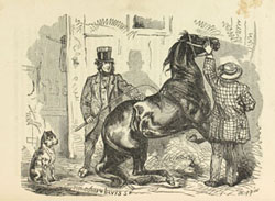 The Spider and the Fly; or, Tricks, Traps, and Pitfalls of City Life. New York: C. Miller & Co., 1873.